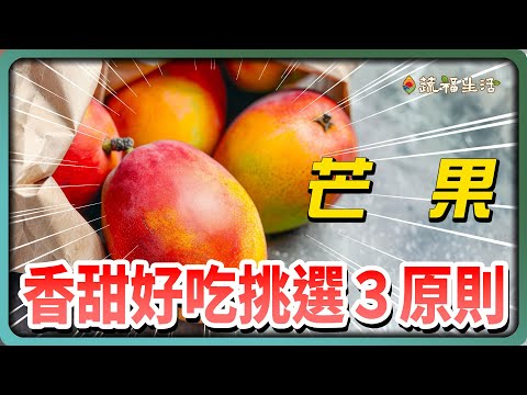 YouTube 视频