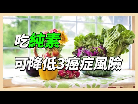 YouTube 视频