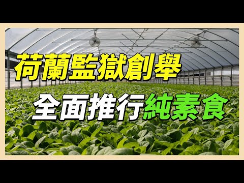 YouTube 视频