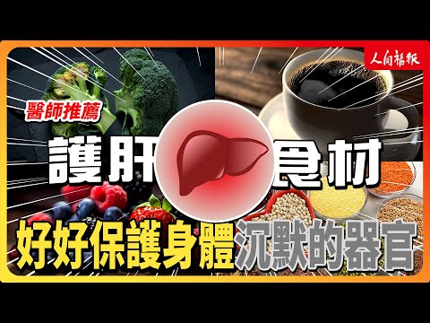 YouTube 视频
