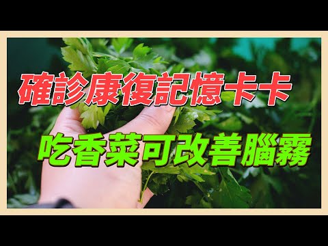 YouTube 视频