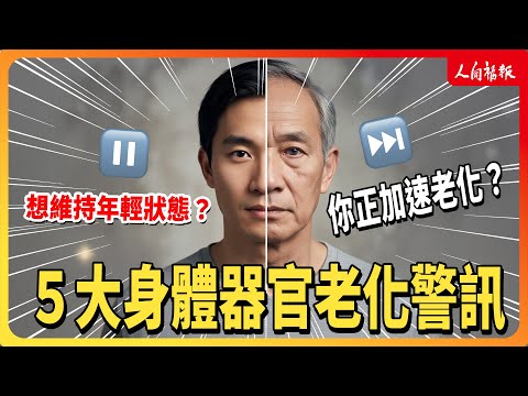 YouTube 视频