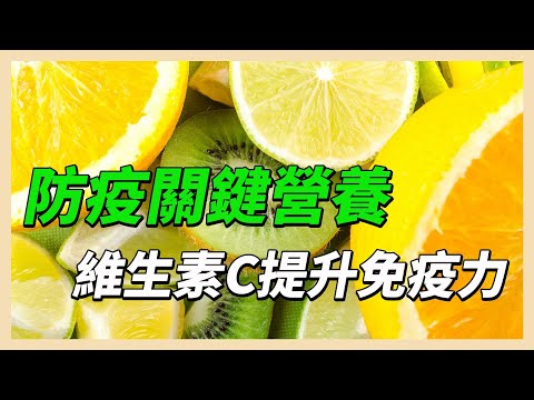 YouTube 视频