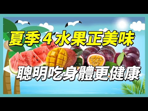 YouTube 视频