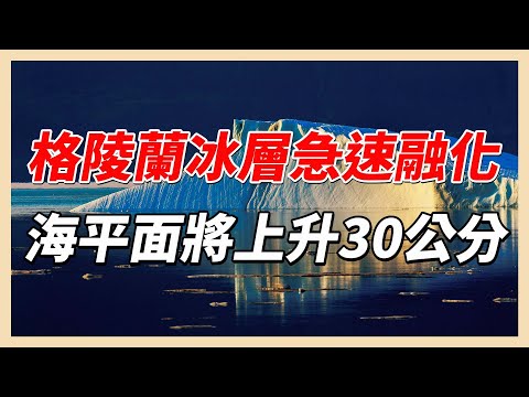 YouTube 视频