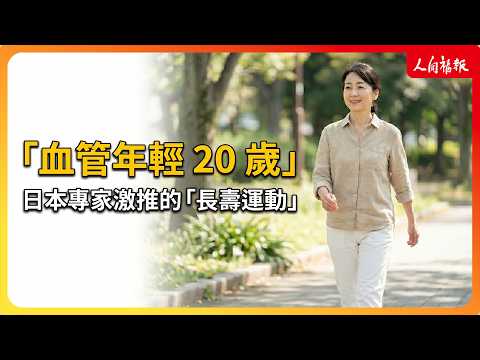 YouTube 视频