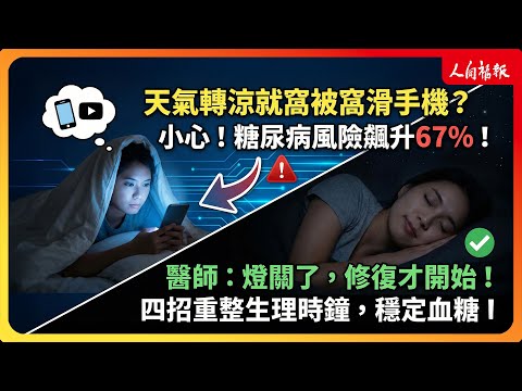 YouTube 视频