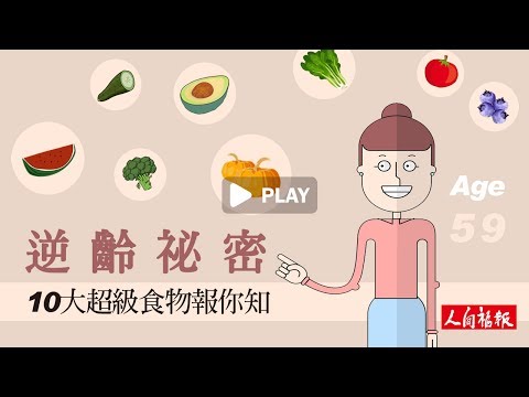 YouTube 视频