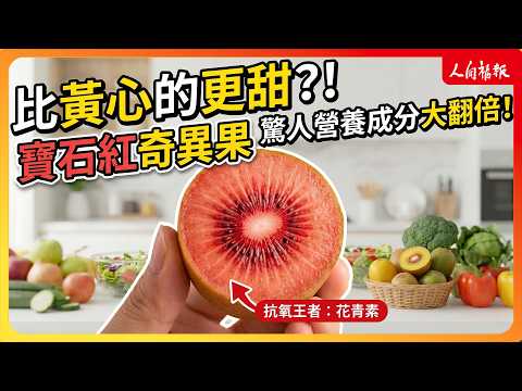 YouTube 视频