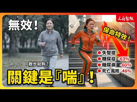 YouTube 视频