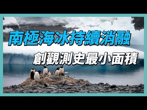 YouTube 视频