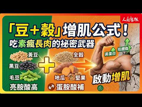 YouTube 视频