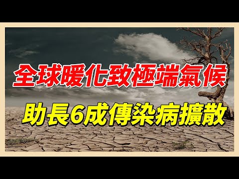 YouTube 视频