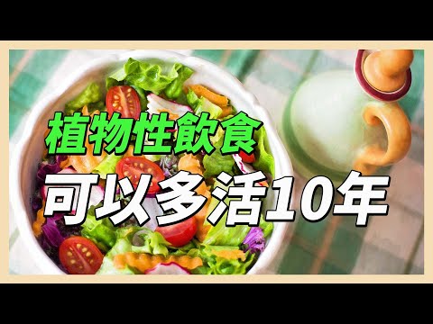 YouTube 视频