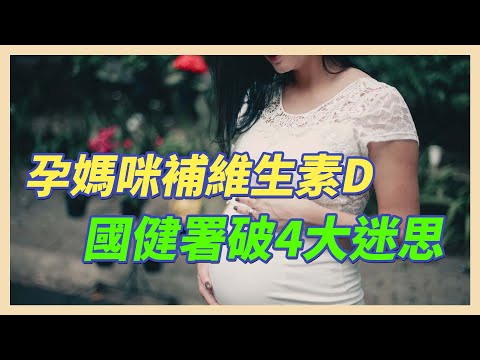 YouTube 视频