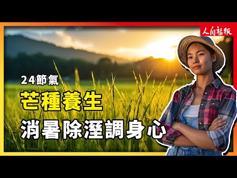 YouTube 视频
