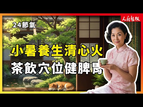 YouTube 视频