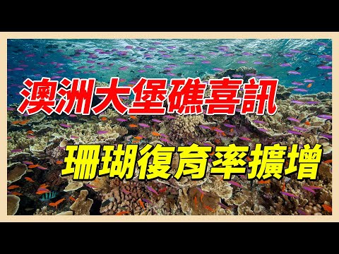 YouTube 视频