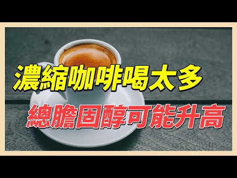 YouTube 视频