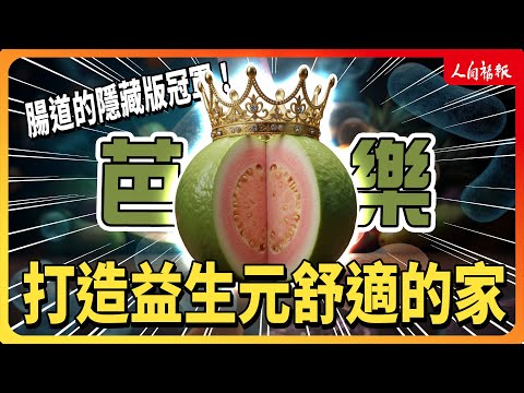 YouTube 视频
