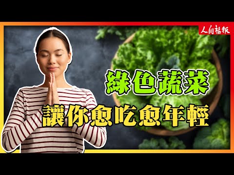 YouTube 视频