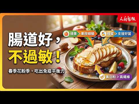 YouTube 视频