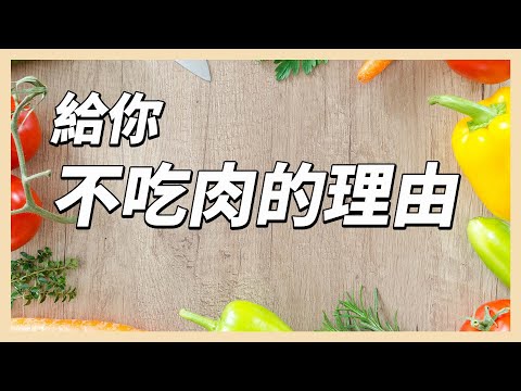 YouTube 视频