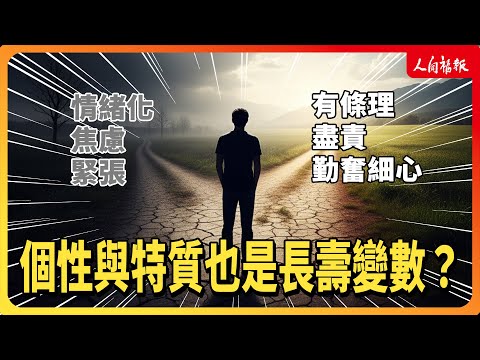 YouTube 视频
