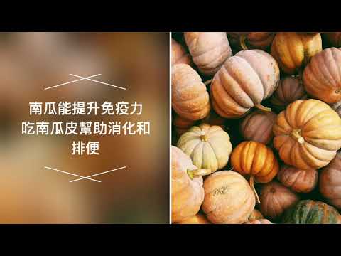 YouTube 视频